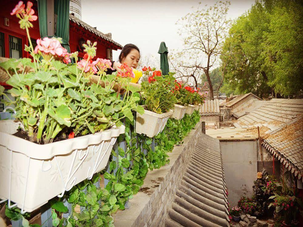 Beijing 161 Lama Temple Courtyard Hotel Exterior foto